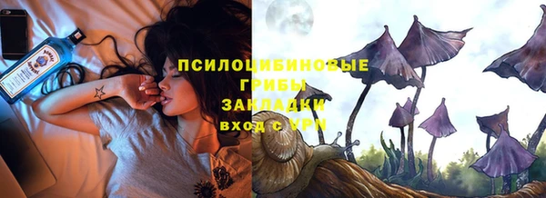 мдпв Дмитров
