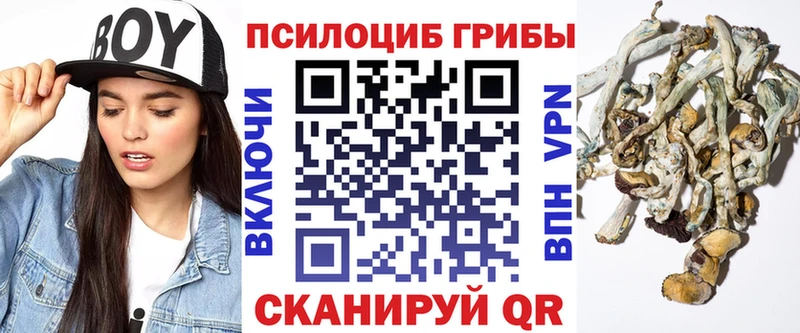 как найти закладки  Суровикино  МЕГА ссылки  Псилоцибиновые грибы ЛСД 